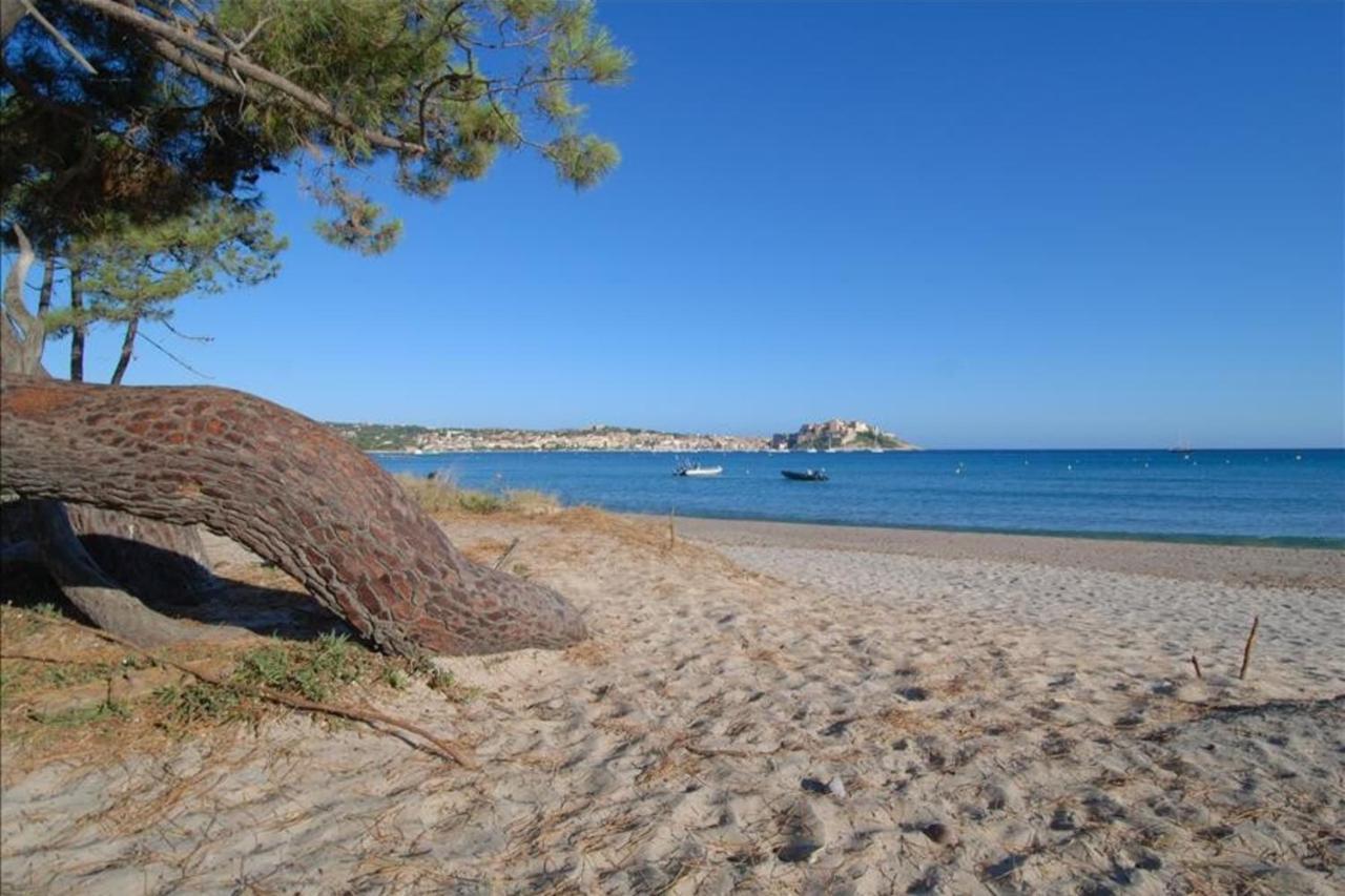 Location De Vacances Olivier Jardin Privatif Et Piscine Chauffee Partagee Calvi  Zewnętrze zdjęcie